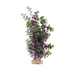 fluval-aqualife-plant-scapes-red-bacopa-14-inch