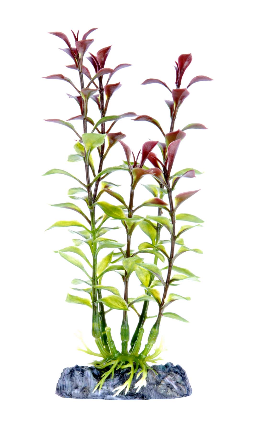 Penn Plax Red Ludwigia Plant – KensFish.com
