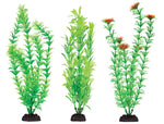 penn-plax-green-plant-6-pack-12-inch