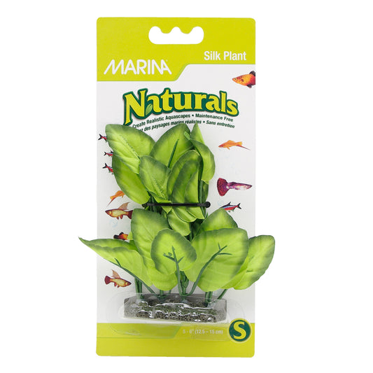 marina-naturals-foreground-silk-plant-green