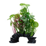 fluval-aqualife-green-lysimachia-plant-6-8-inch