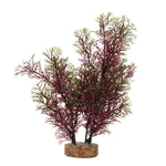 fluval-aqualife-red-green-foxtail-plant-8-inch