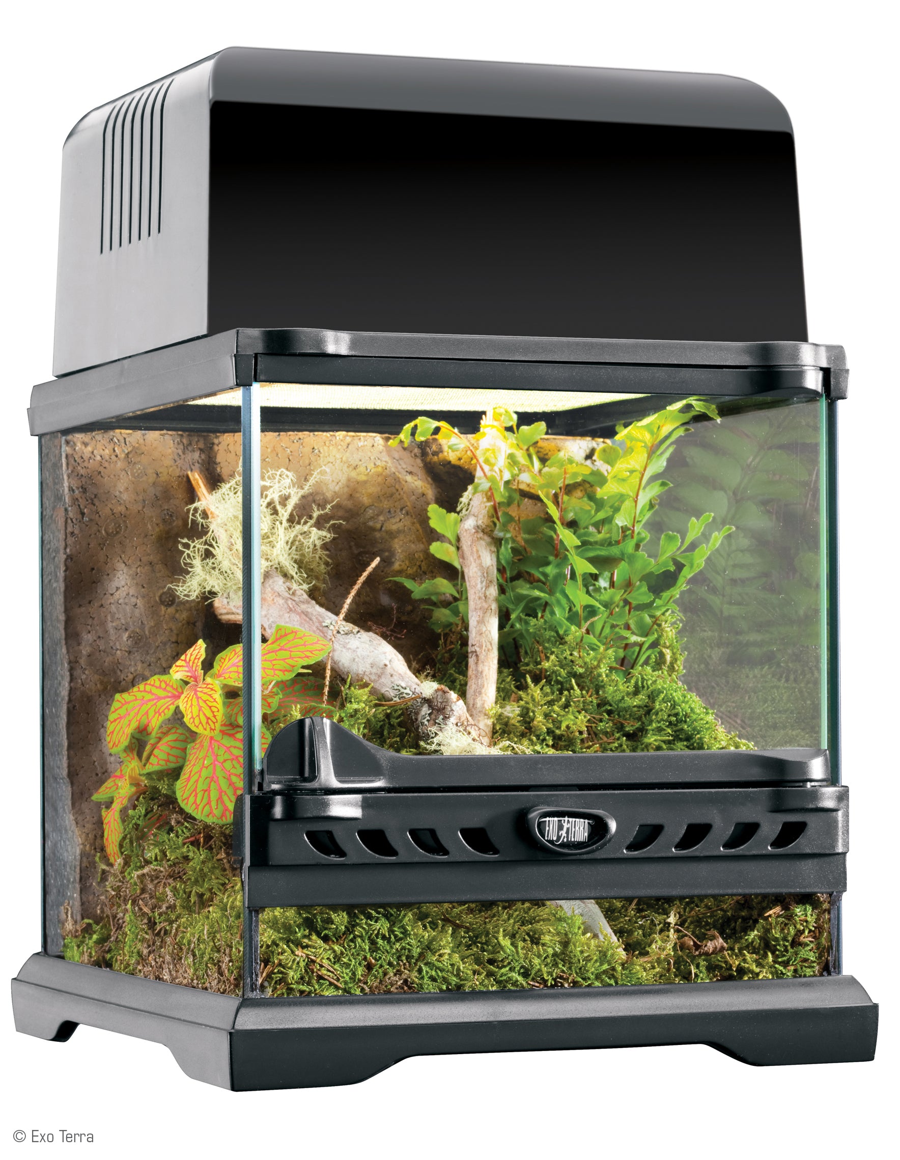 Exo Terra Glass Nano Terrarium 8