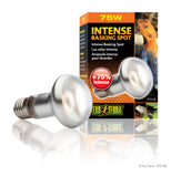 exo-terra-intense-basking-spot-lamp-75-watt
