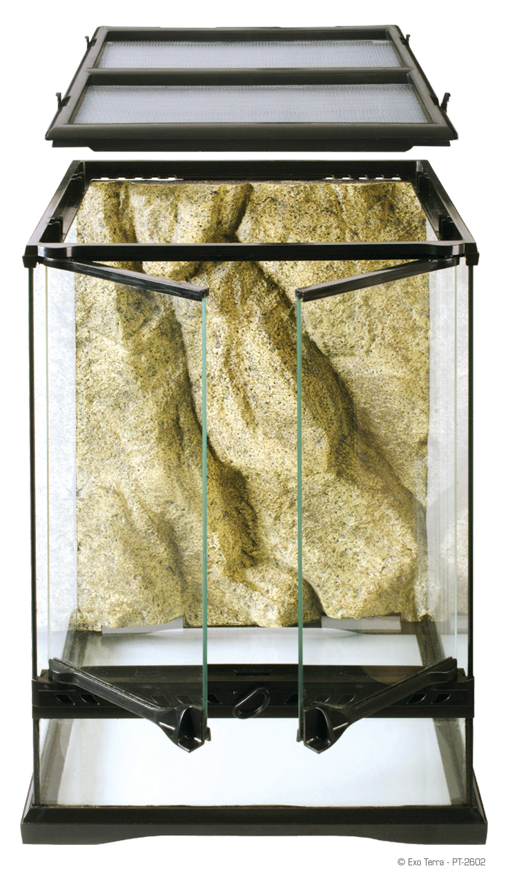 exo terra silk terrarium plant Exo Terra Glass Mini Tall Terrarium 12"x12"x18" – KensFish.com