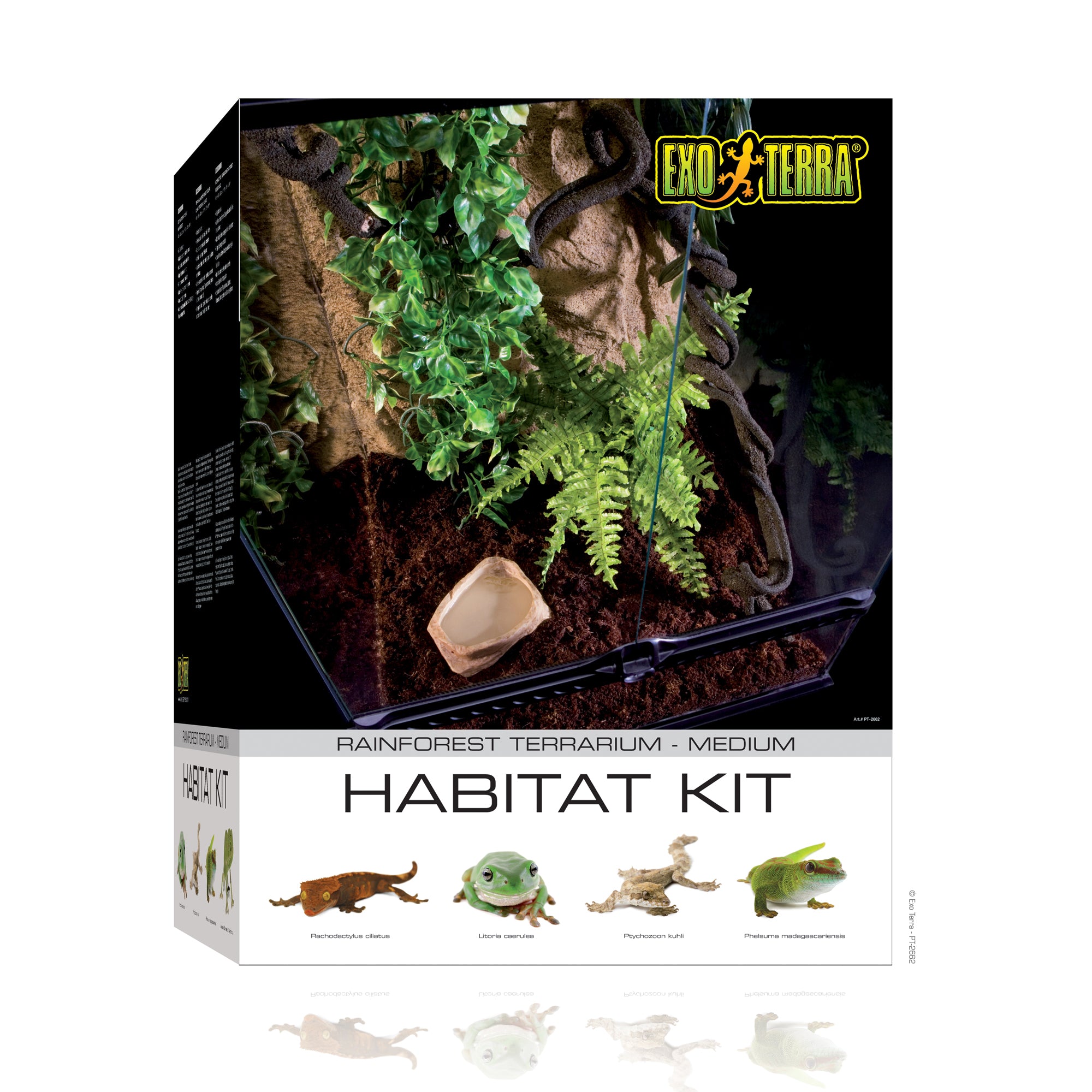 Exo Terra Rainforest Habitat Kit Medium – KensFish.com