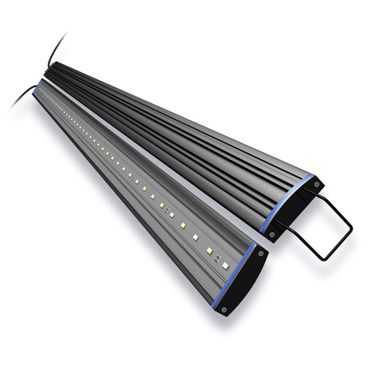 aquatic-life-reno-led-light
