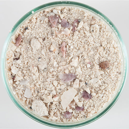 carib-sea-arag-alive-bimini-pink-reef-sand