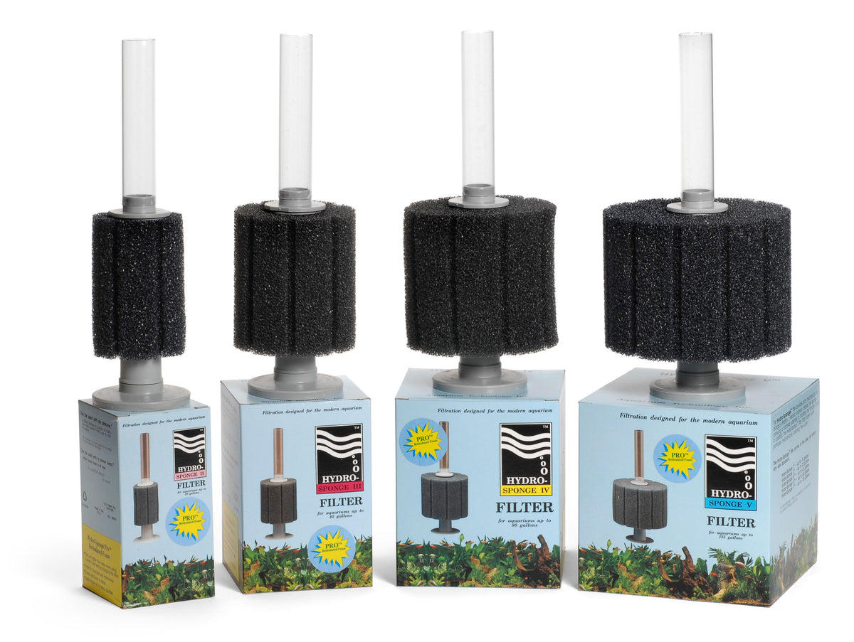 Aqueon pre outlet filter sponge