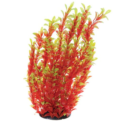 underwater-treasures-red-ludwigia-plant-10-inch