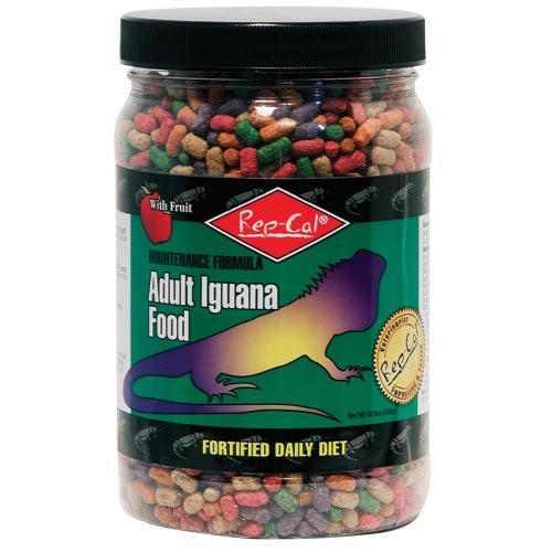 rep-cal-adult-iguana-food