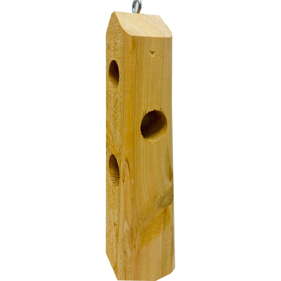 wild-bird-feeders