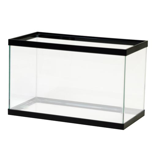 aqueon-10-gallon-aquarium