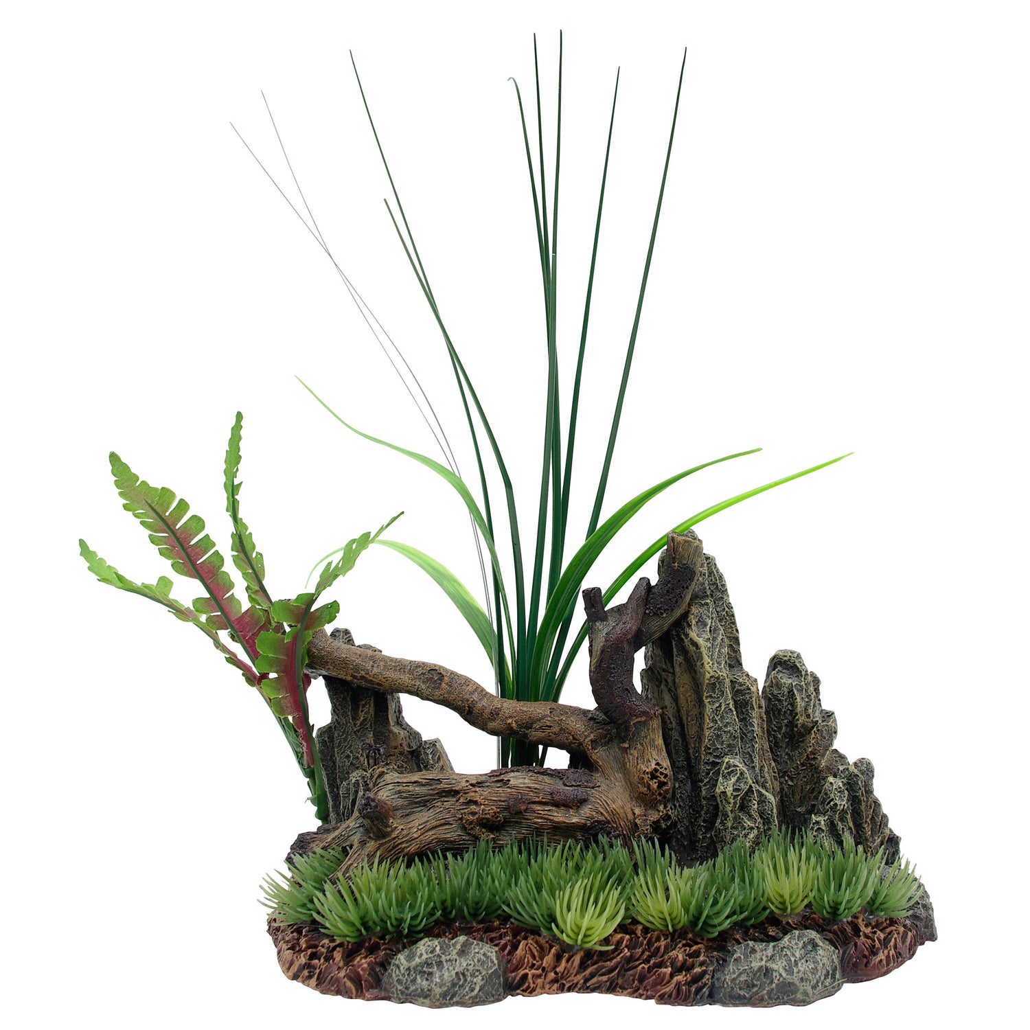 marina-driftwood-rock-plants