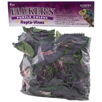fluker-repta-vine-purple-coleus
