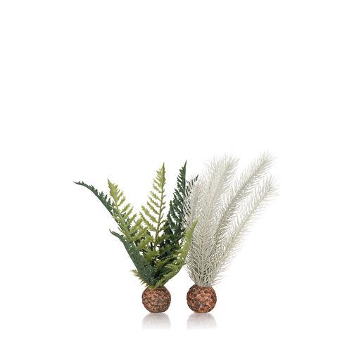 biorb-plants