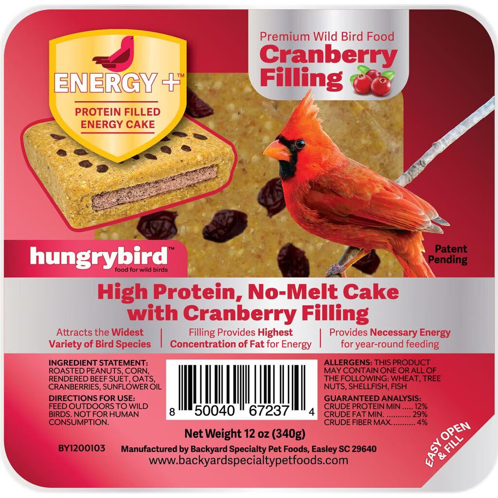 hungry-bird-wild-bird-food
