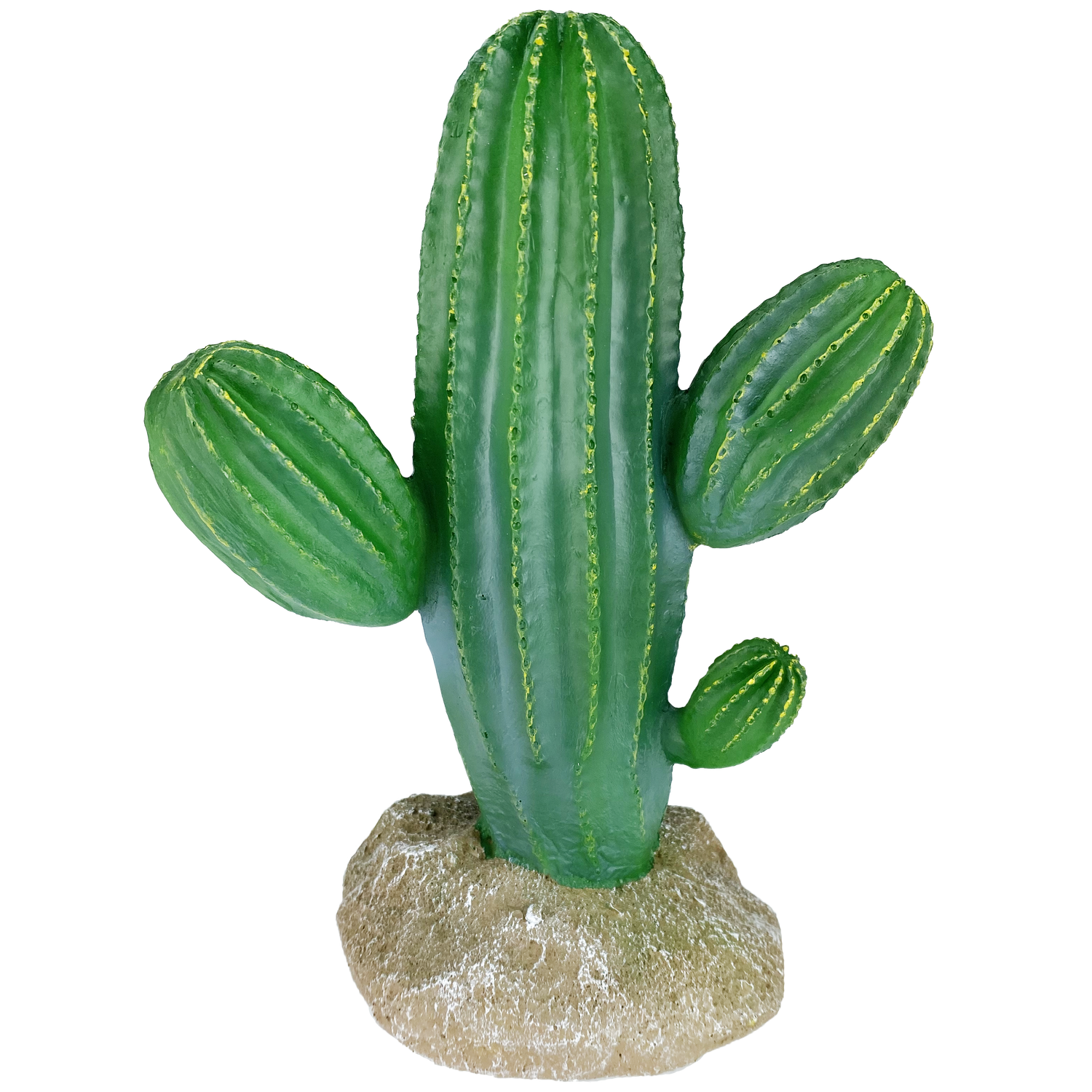 komodo-reptile-plants