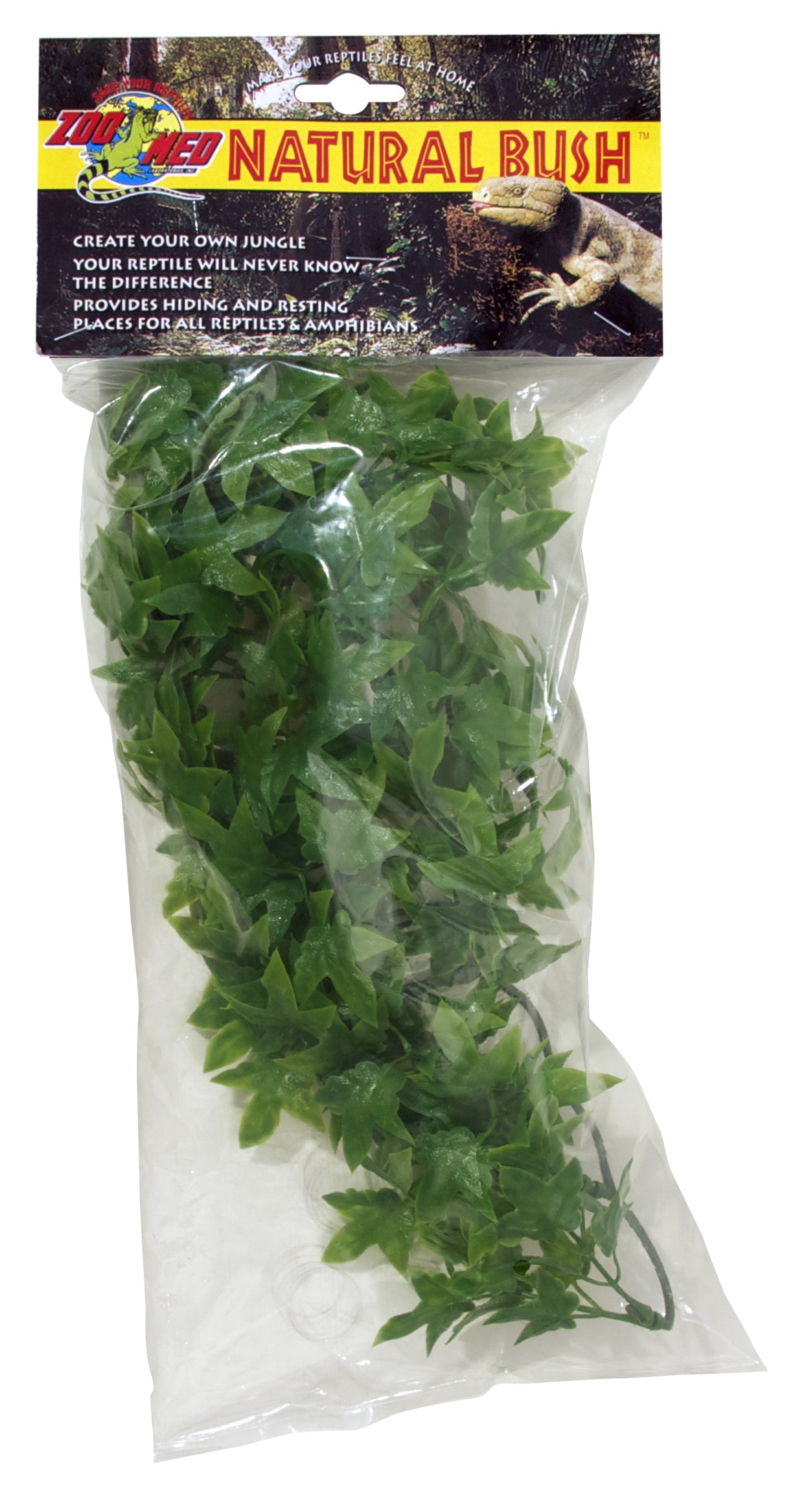 zoo-med-congo-ivy-plant