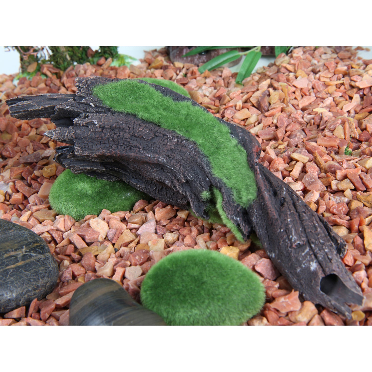 moss-log