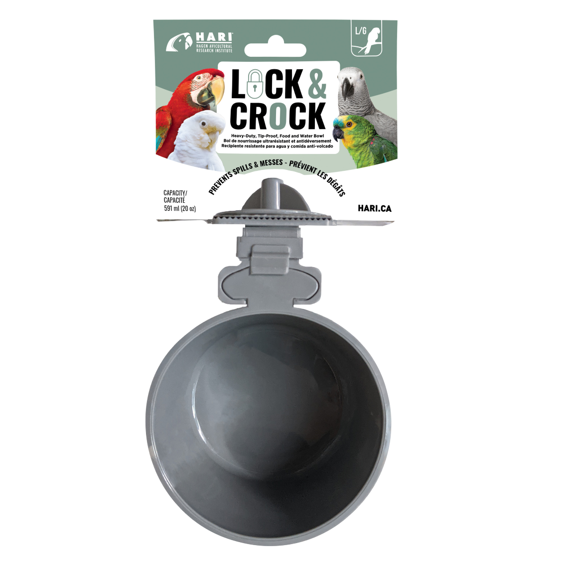 bird-feeders-waterers