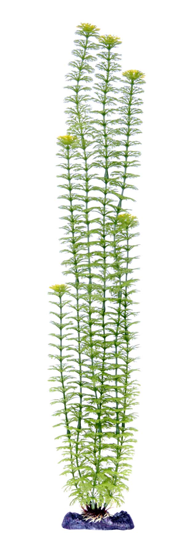 penn-plax-ambulia-plant