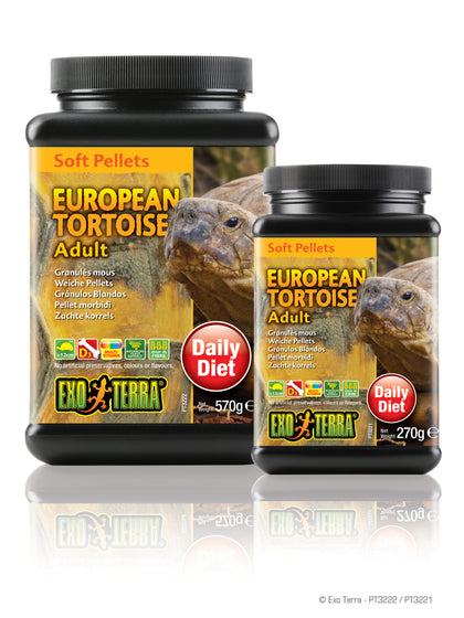 exo-terra-european-tortoise-adult