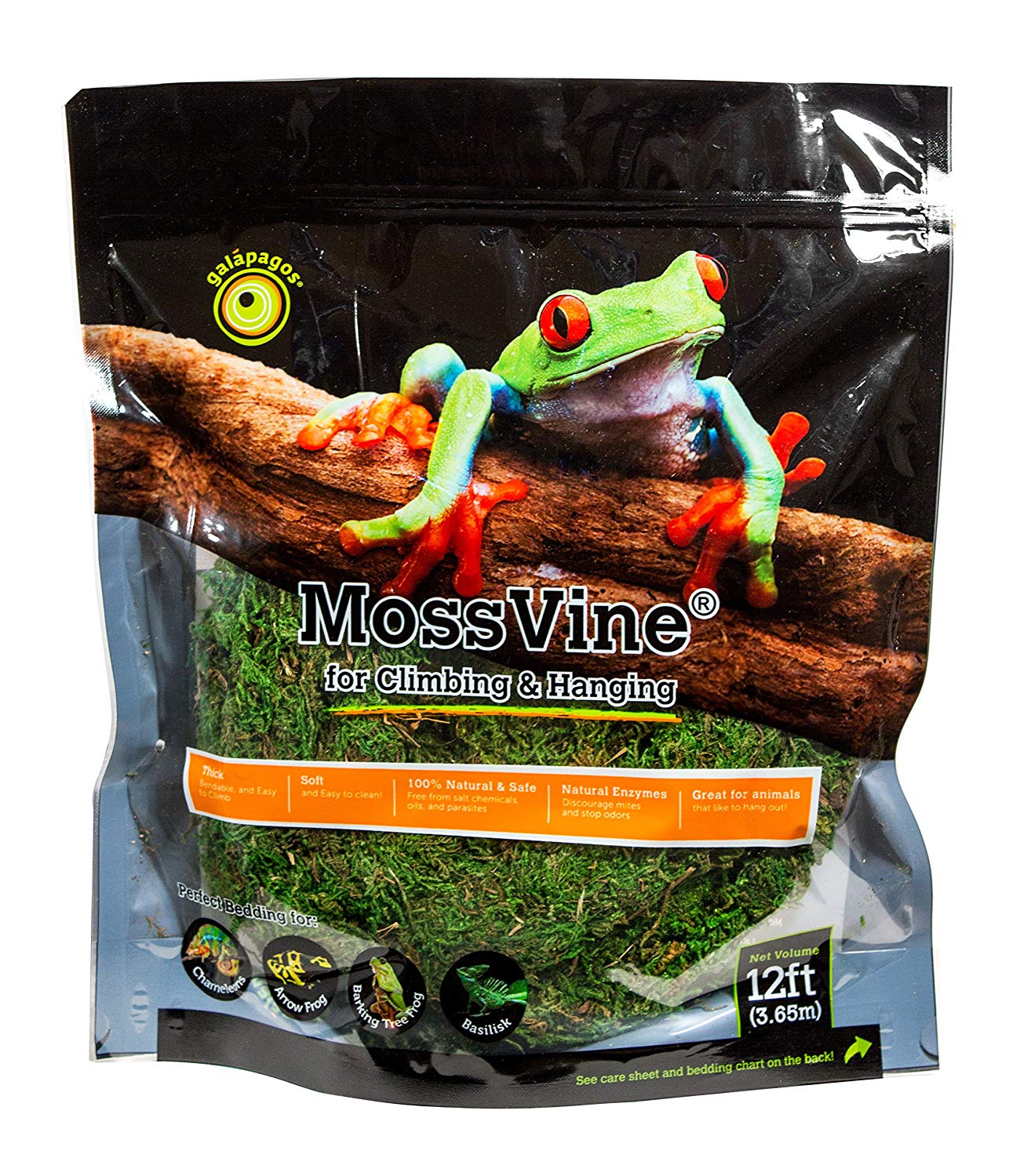 galapagos-moss-vine