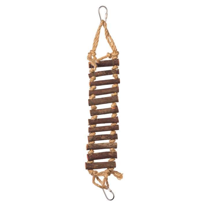 bird-ladders