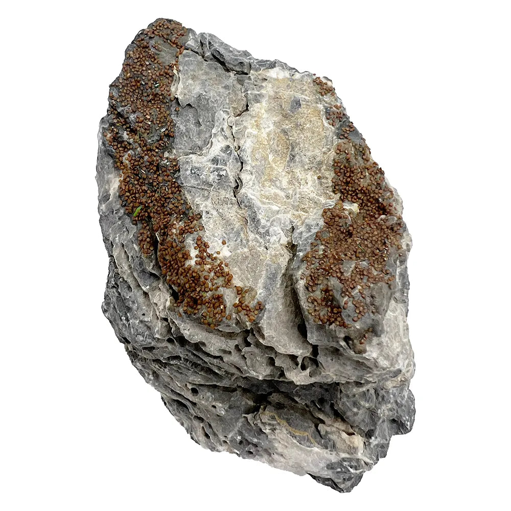 aqua-flora-naturals-seiryu-stone-pre-seeded-natural-aquascaping-decor-2