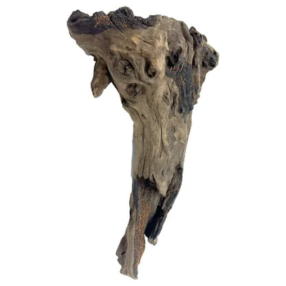 aqua-flora-naturals-medium-driftwood-pre-seeded-natural-aquascaping-driftwood-2