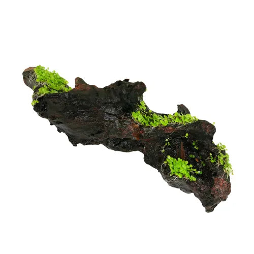 aqua-flora-naturals-driftwood-small-live-aquascaping-ornament