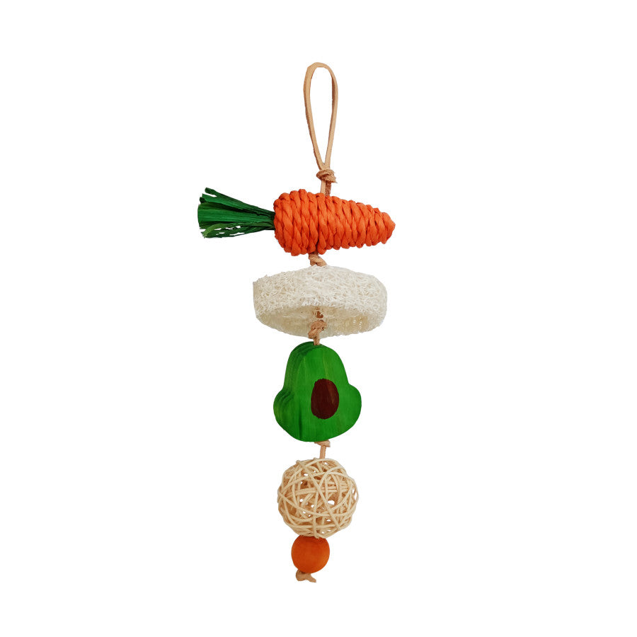 a-e-cages-nibbles-garden-kabob-small-animal-chew-toy