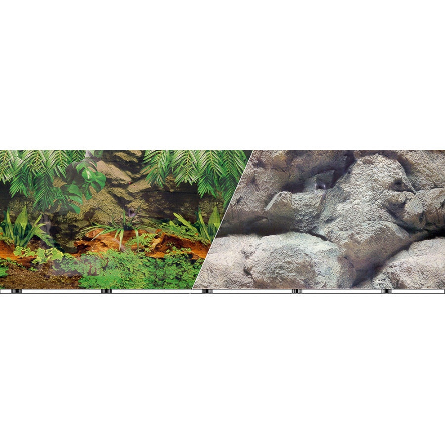 blue-ribbon-double-sided-background-rainforest-feshwater
