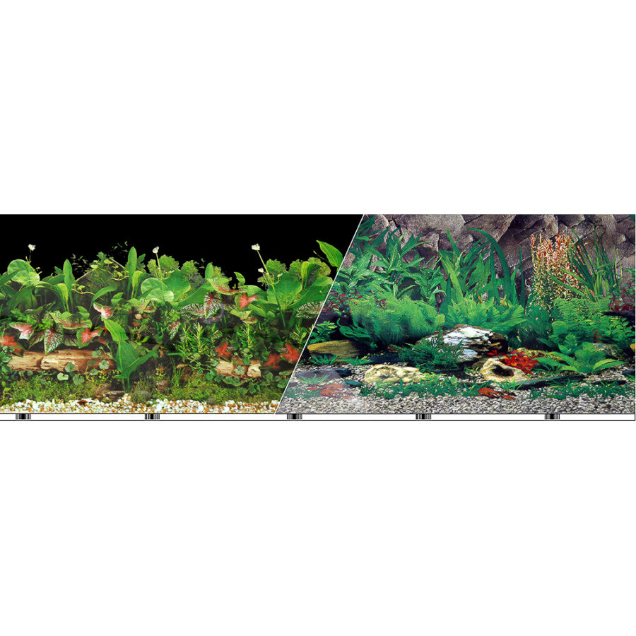 blue-ribbon-double-sided-background-freshwater-black-tropical-feshwater-24-inch