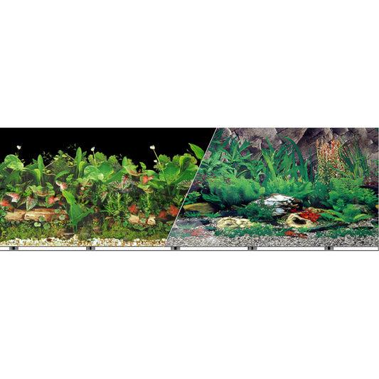 blue-ribbon-double-sided-background-freshwater-black-tropical-feshwater-24-inch