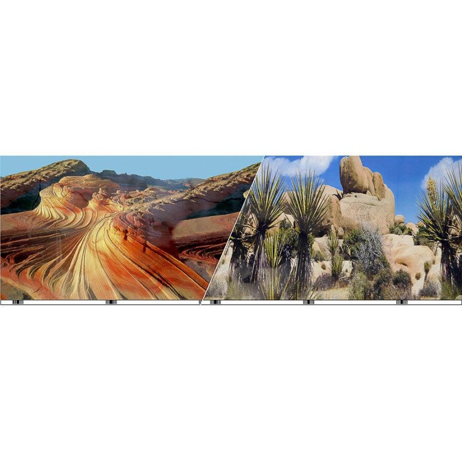 blue-ribbon-vibra-sea-double-sided-background-cactus-desert-stone-12-inch