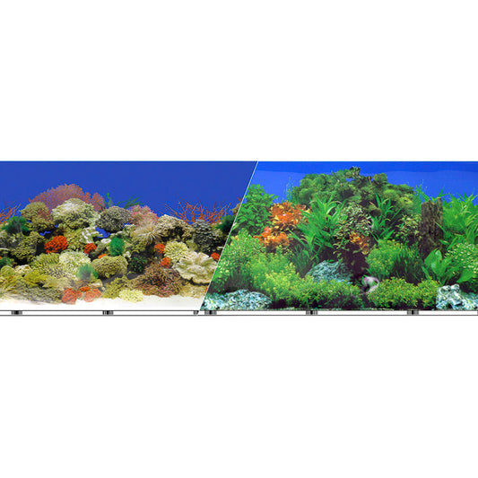 blue-ribbon-double-sided-background-freshwater-garden-caribean-coral-sea-24-inch