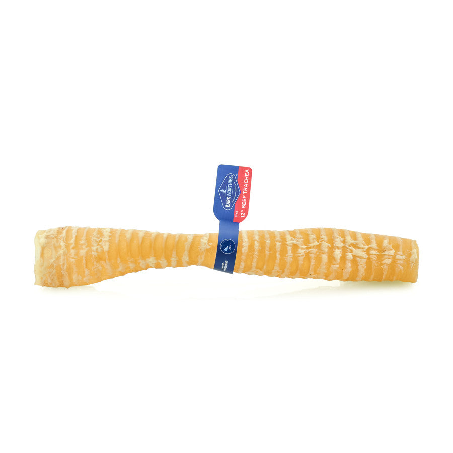 barkworthies-beef-treachea-12-inch