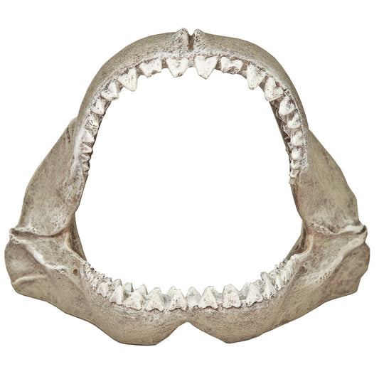 blue-ribbon-exotic-environments-great-white-shark-jaws-small