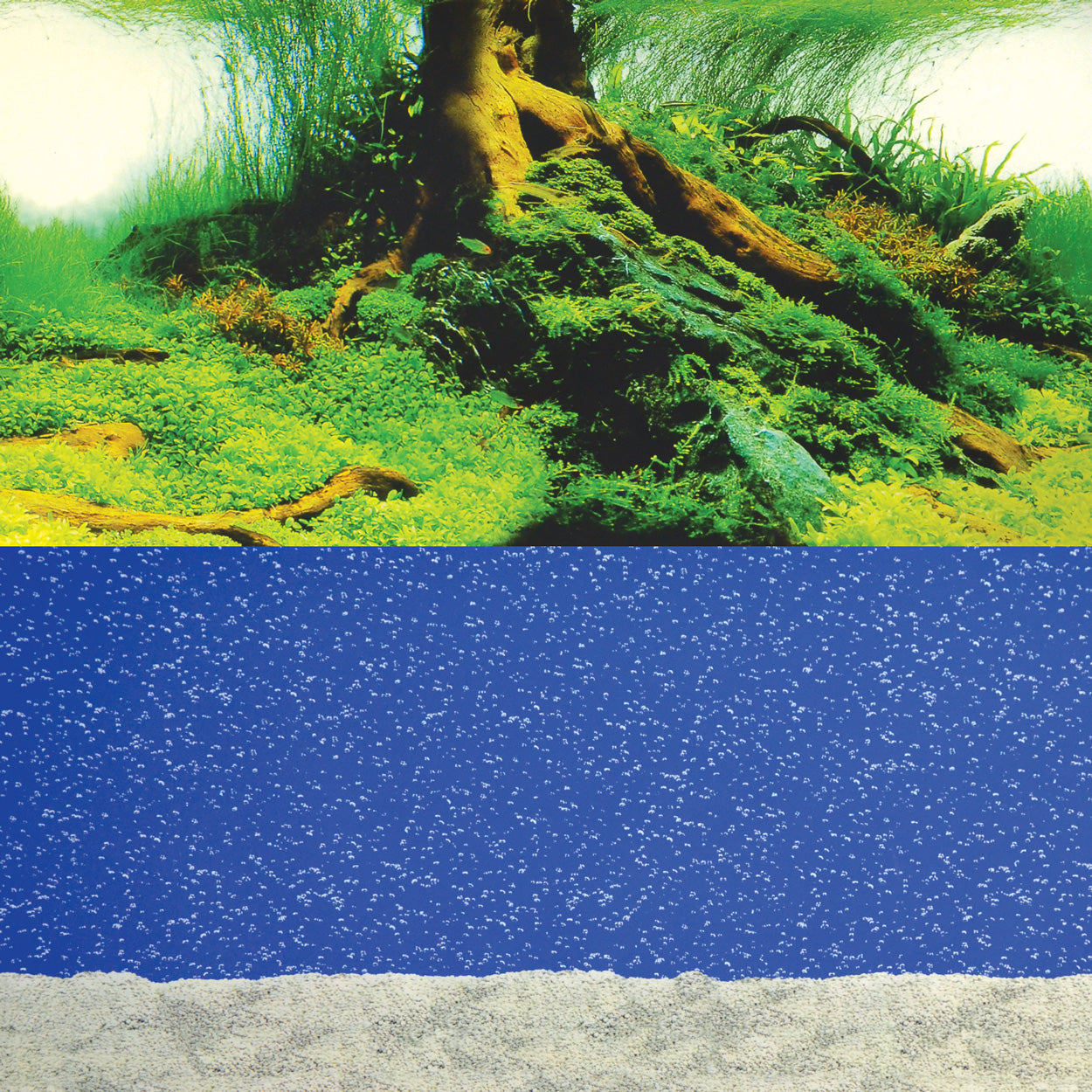 underwater-treasures-bubbling-sand-amazon-reversible-background