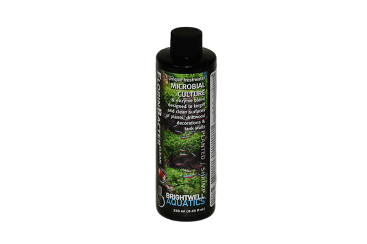 brightwell-aquatics-florinbacter-clean-planted-shrimp-250-ml