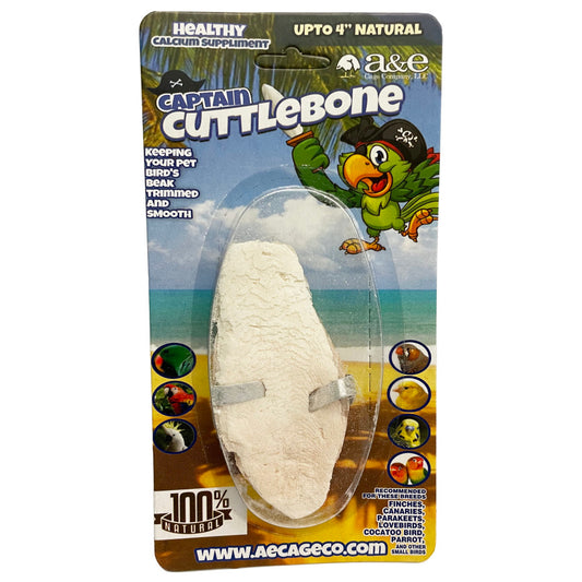 a-e-cages-natural-cuttlebone-4-inch