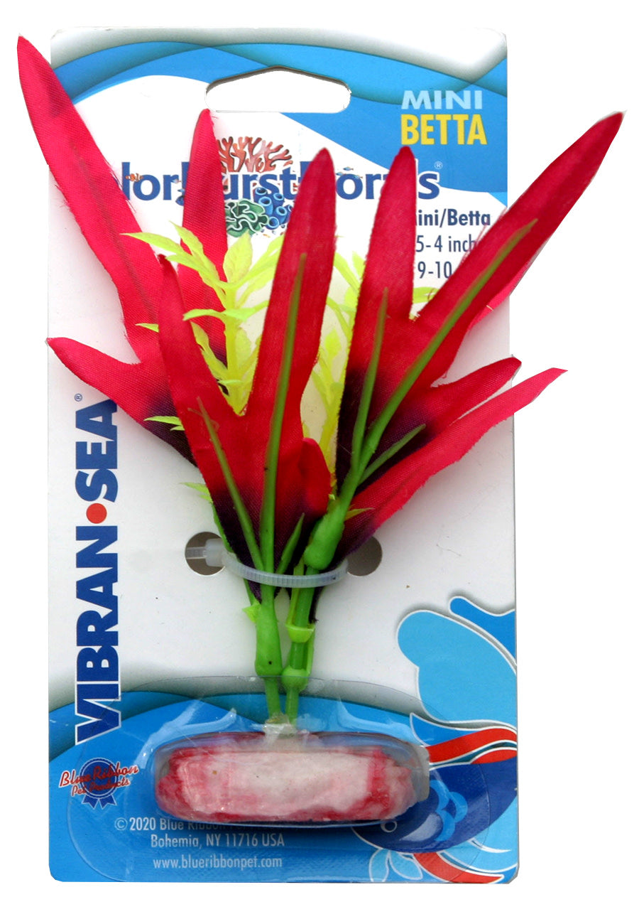 blue-ribbon-pet-colorburst-florals-finger-leaf-plant-mini
