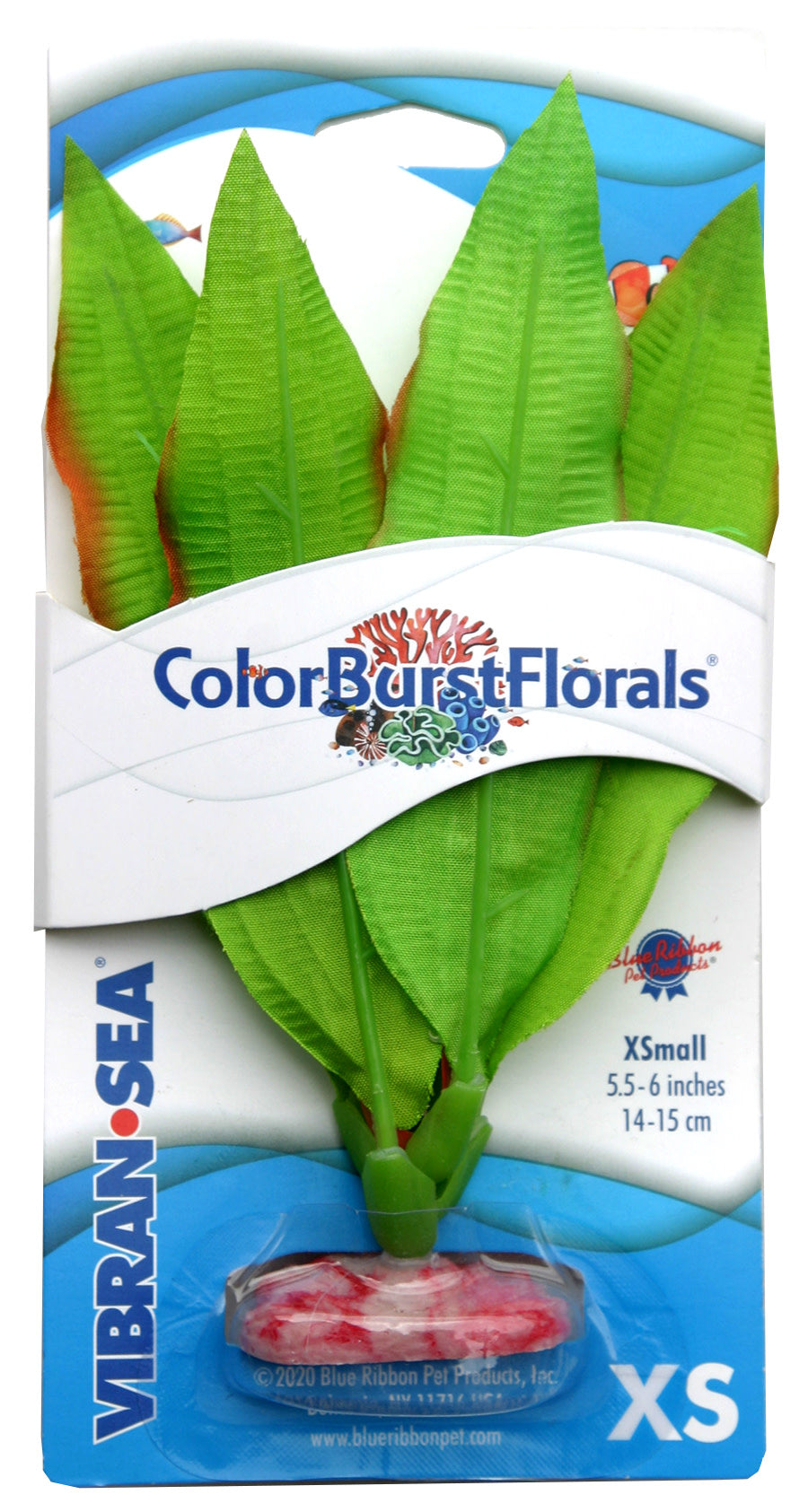Blue Ribbon Pet Colorburst Florals Amazon Sword Aquarium Plant Green ...
