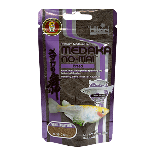 hikari-medaka-no-mai-breed-1.23-oz