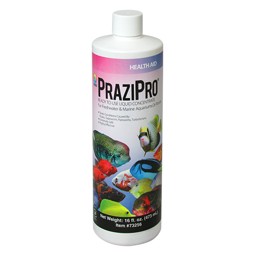 prazipro-16-oz