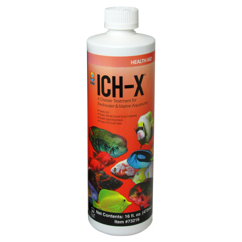 hikari-ich-x-16-oz