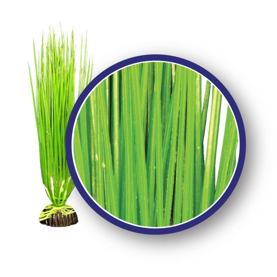 werco-freshwater-series-asian-hairgrass-aquarium-plant-green