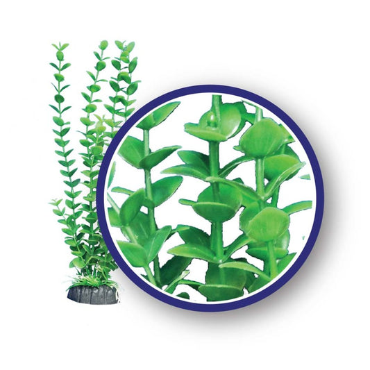 weco-freshwater-series-bacopa-aquarium-plant-green